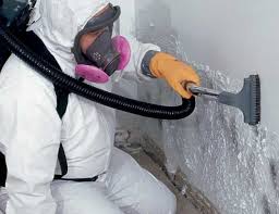 Best Basement Mold Removal  in Cheverly, MD